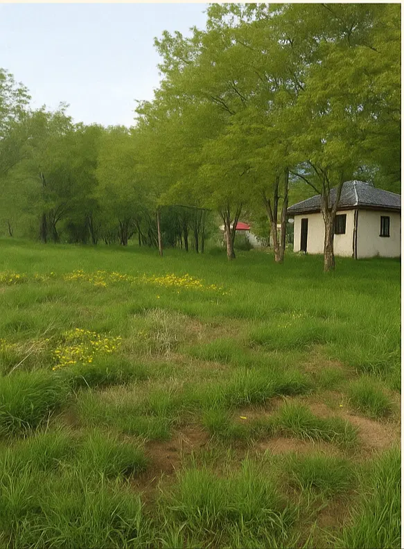 فروش زمین کوهستانی بدون شیب