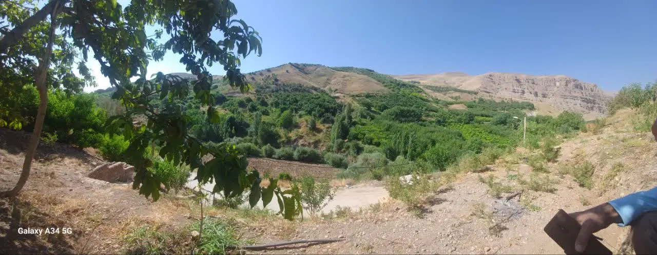 فروش باغ گلدشت (نظام آباد)
