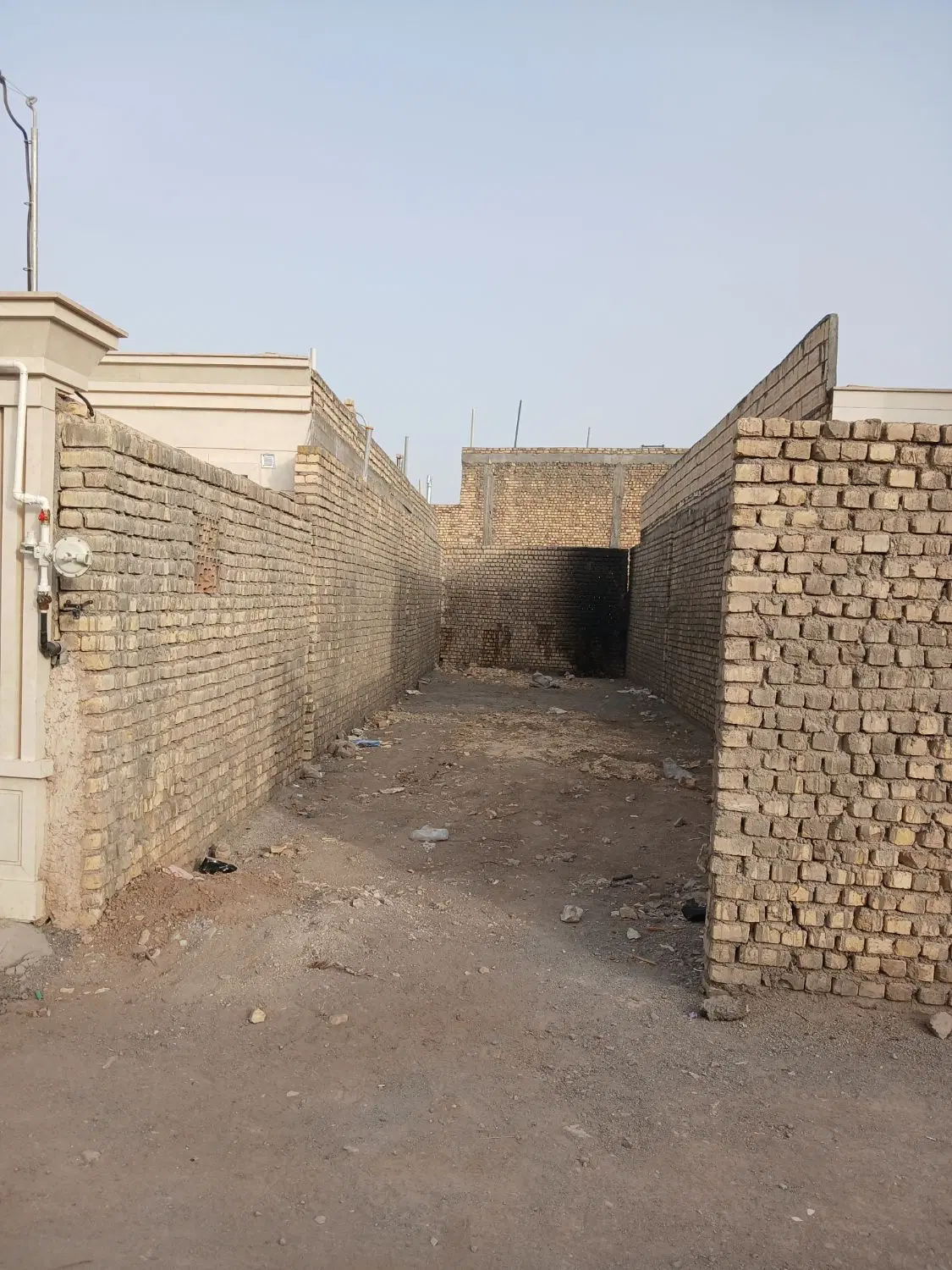 ماوزه