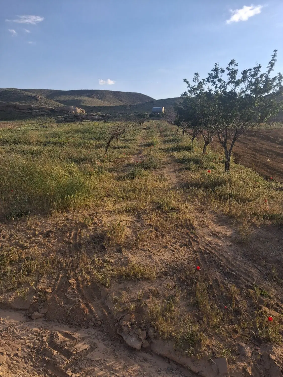 روستای  گویند کنار جاده اهر همجوار شهر جدید شهریار