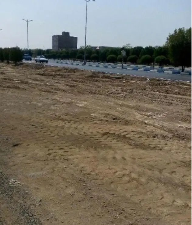 فروش زمین صد متری در دل شاندیز