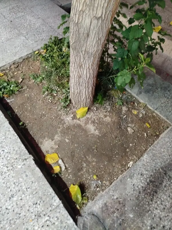 زمین تجاری مسکونی