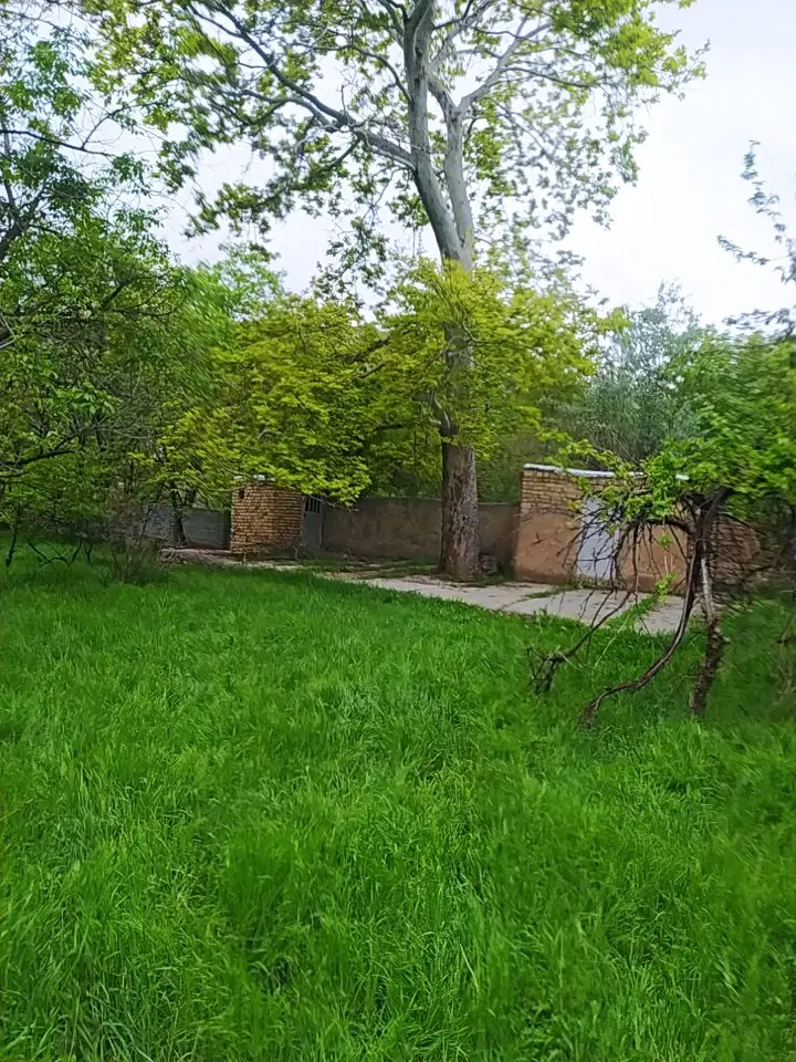 باغ میوه