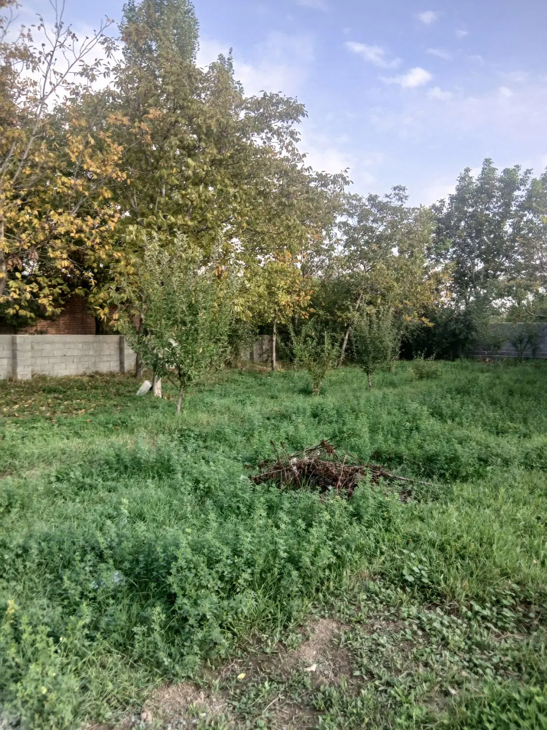 ۸۰۰ متر باغ الوان دارای اب برق مشترک دیوارکشی
