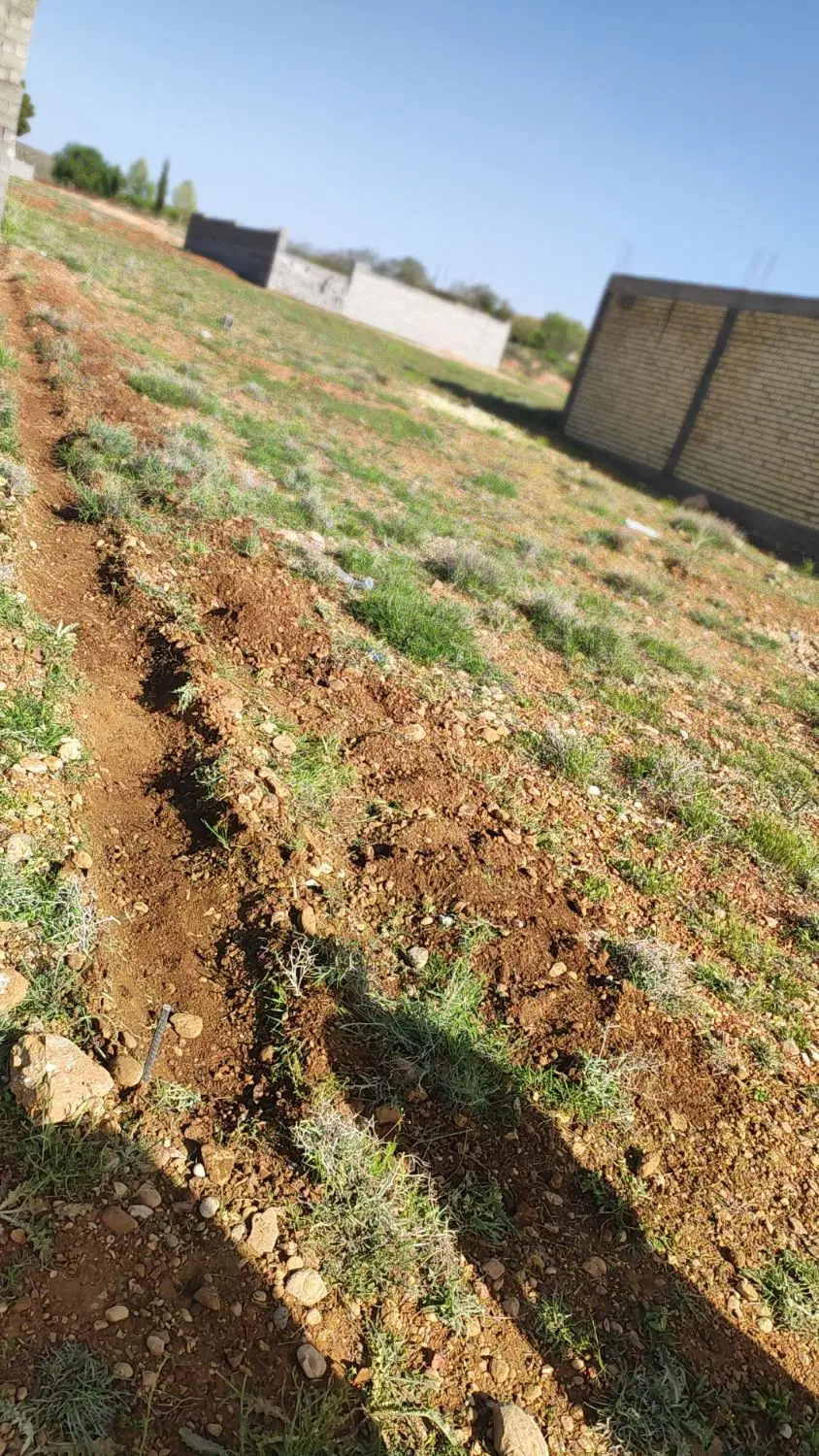 زمین خانزنیان دهنو قلندی