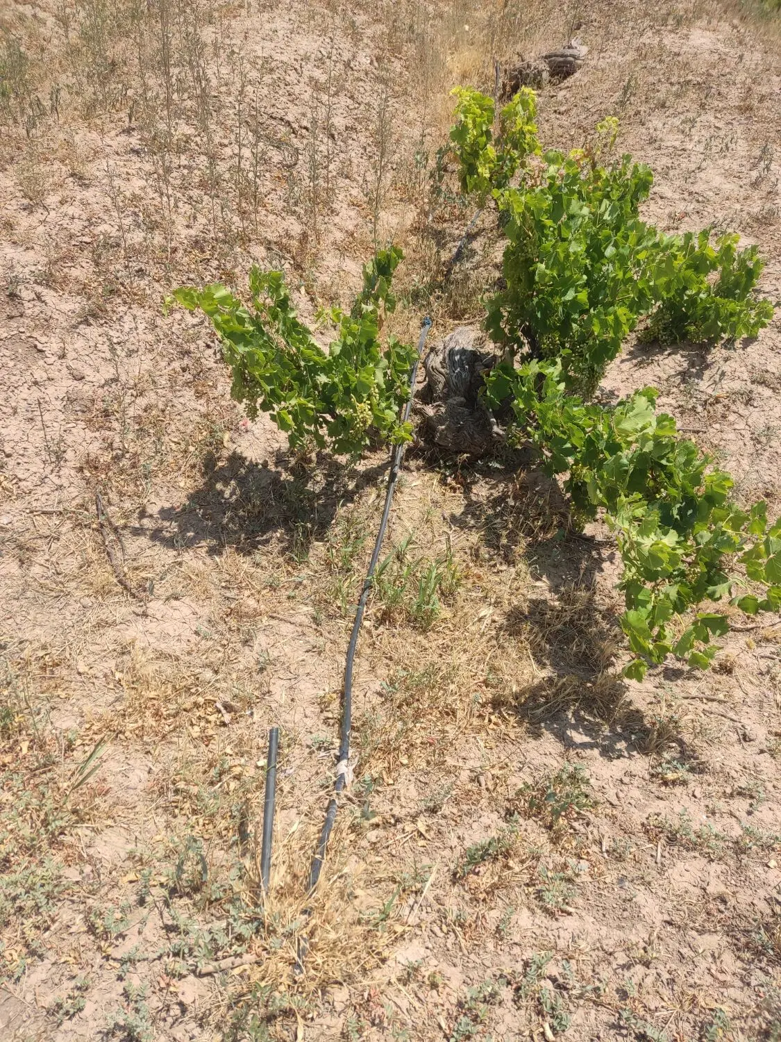 زمین بحر جاده اک