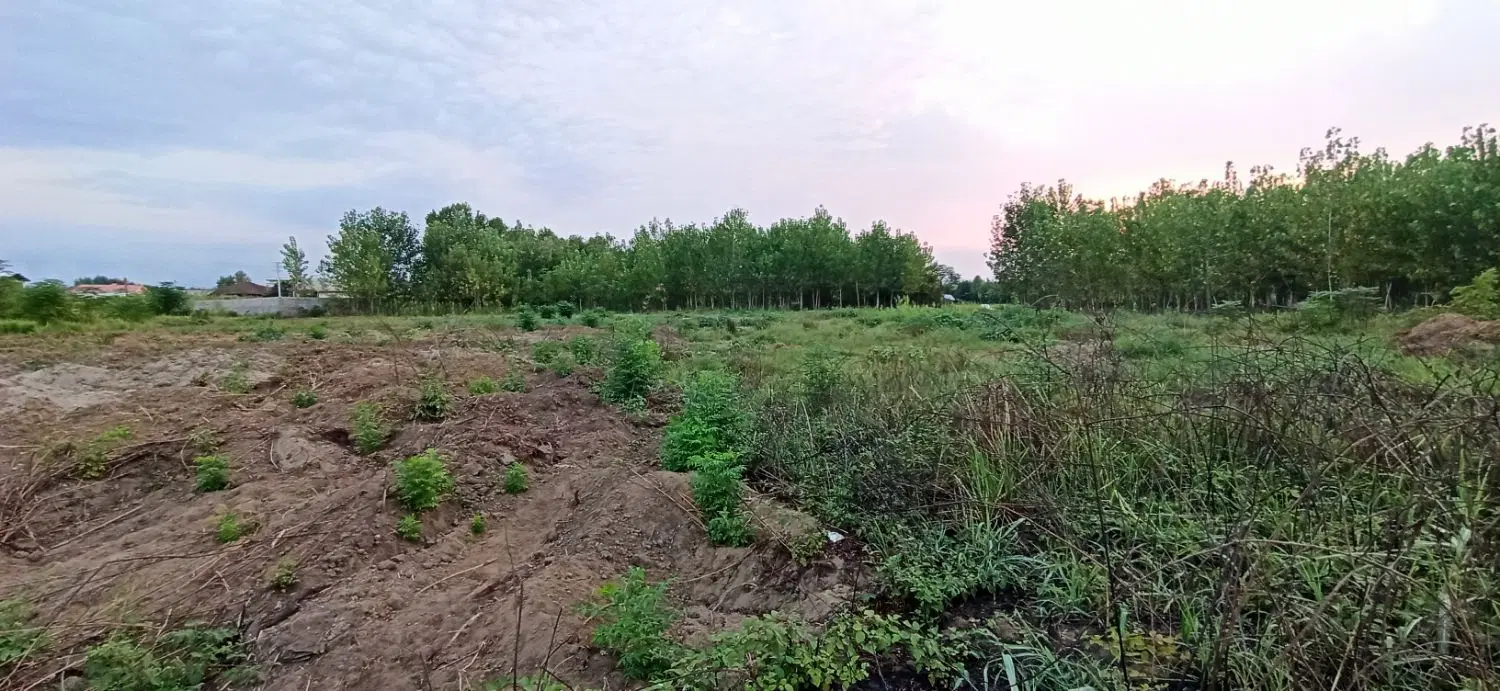 زمین باغی 2800متر