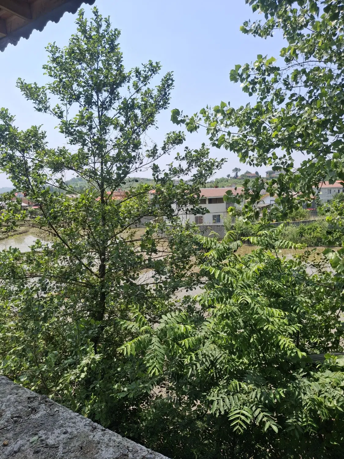 ویلا شهری