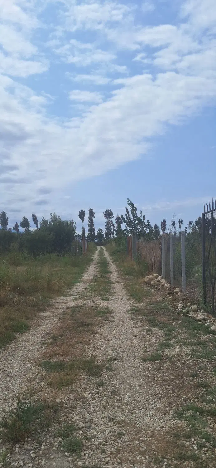 زمین باغی شموشک