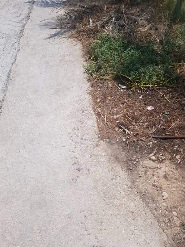 اجاره زمین کشاورزی هور R1