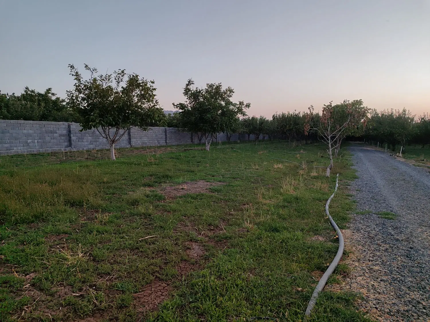 زمین مسکونی به متراژ 1000متر