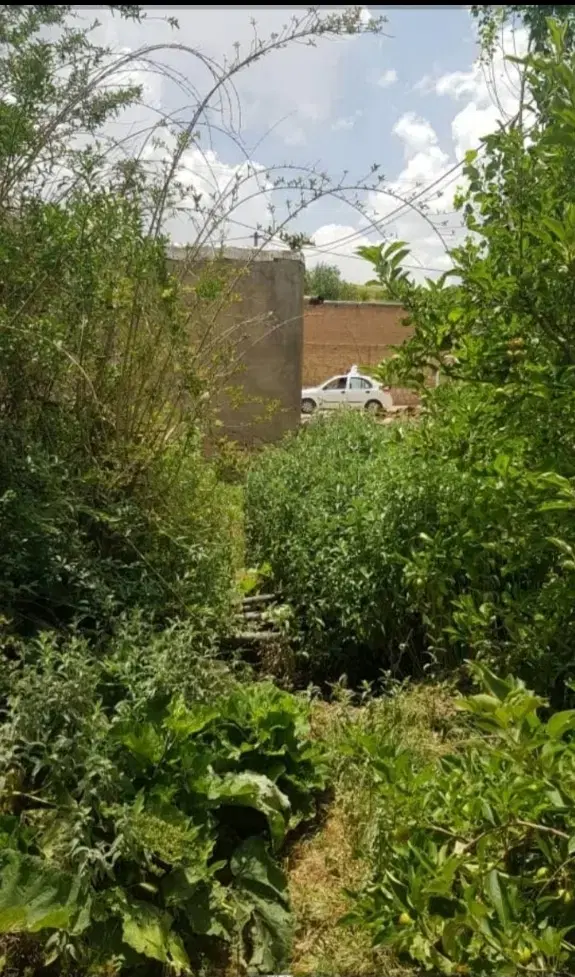 یک قطعه زمین مسکونی