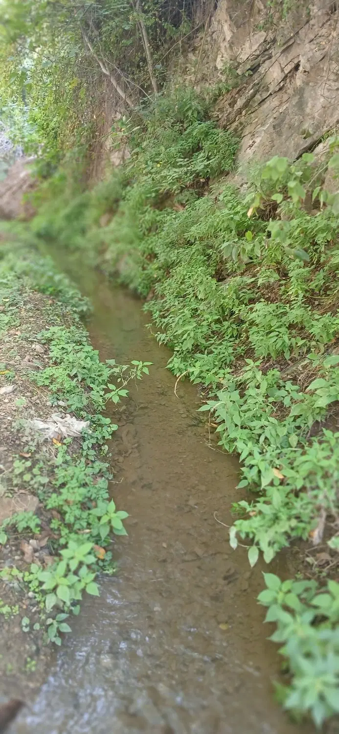 زمین مسکونی واقع در عرفان
