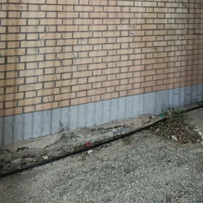 زمین ریشهر