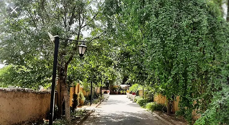 زمین باغی