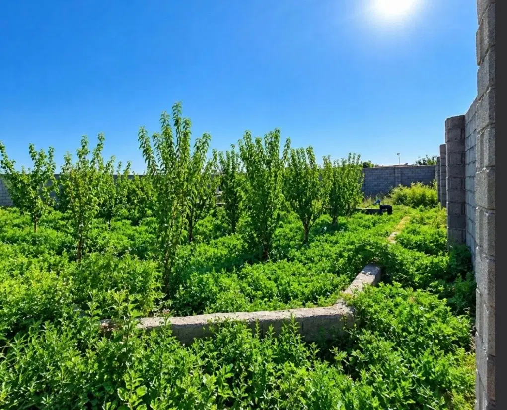 باغ هروی سعیداباد باسمنج صوفیان نعمت اباد