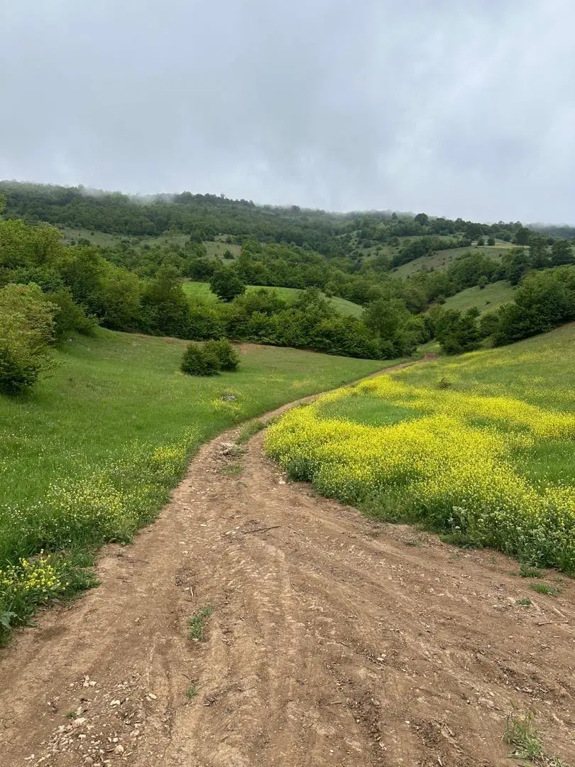 زمین کوهستانی کشاورزی