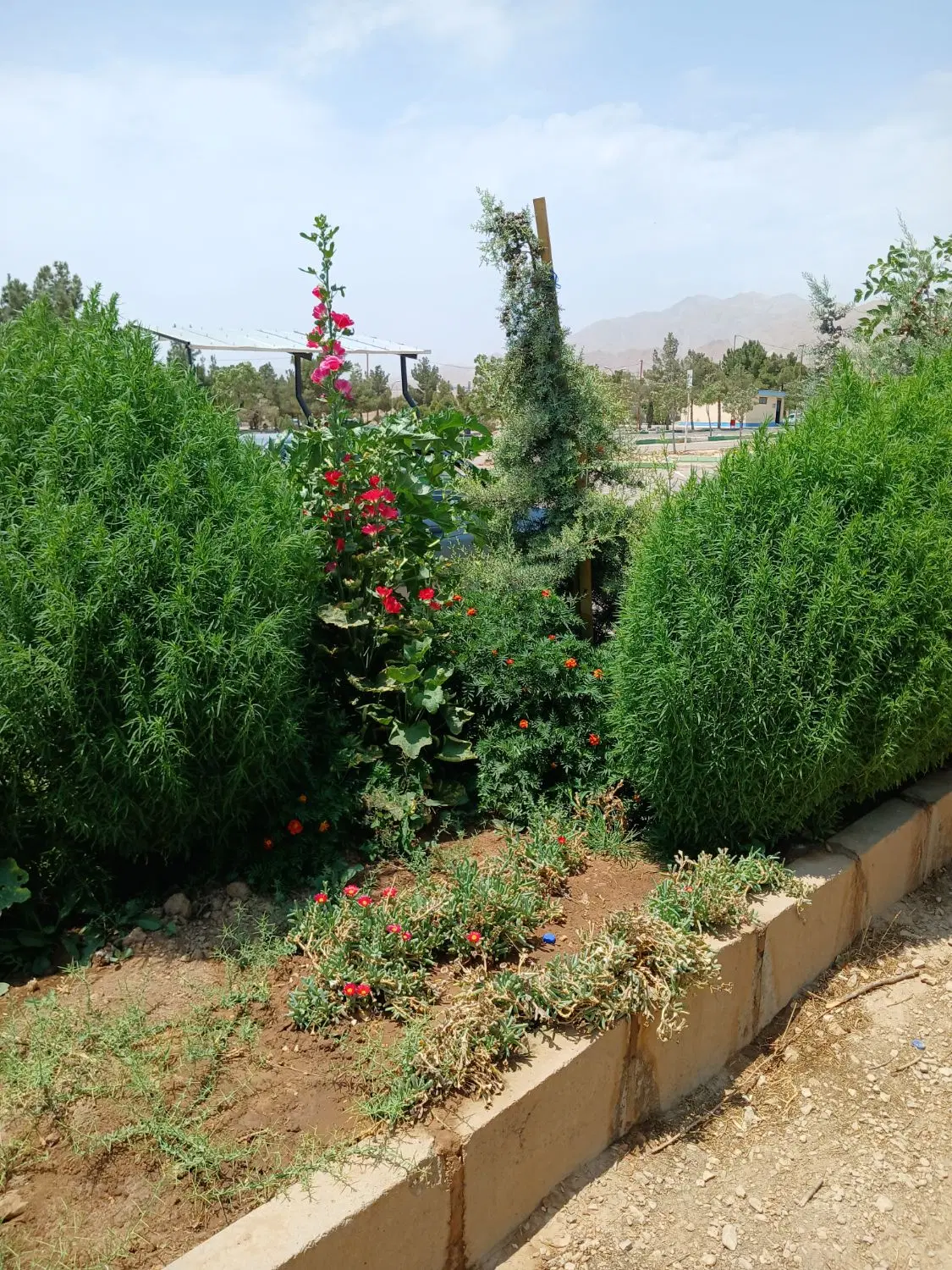 ساختمان دوطبقه شهرک دانشگاه