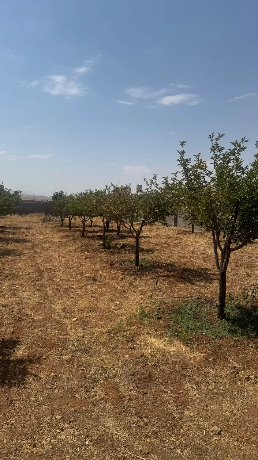 باغ کودیان