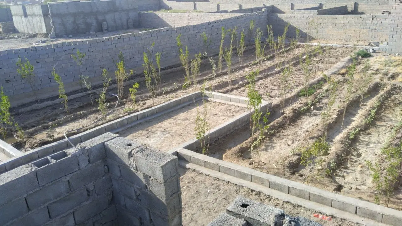 زمین باغ سر خیابان مجیدیه