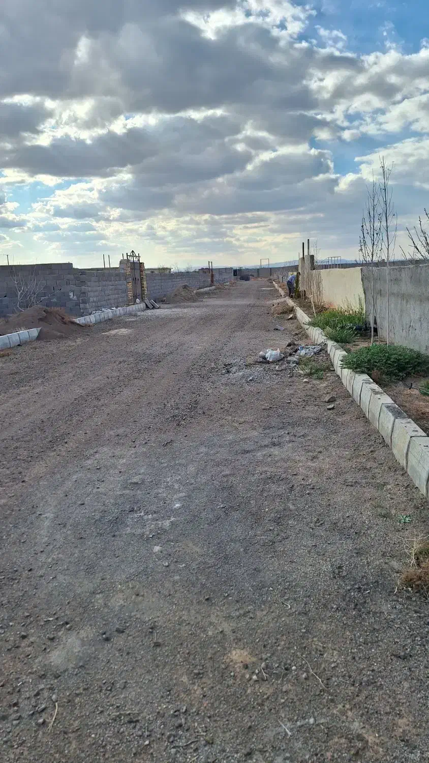 باغ پسته ۱۰ ساله در چاه تپه
