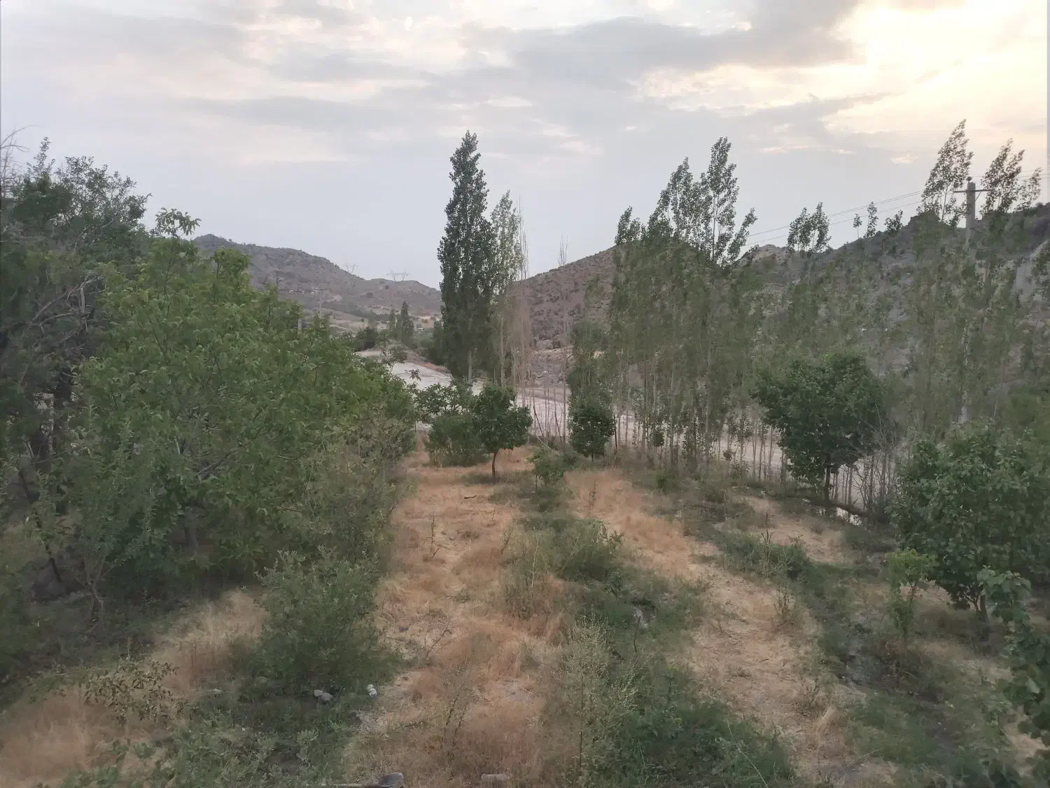 فروش زمین