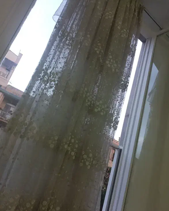 هم خانه خانم