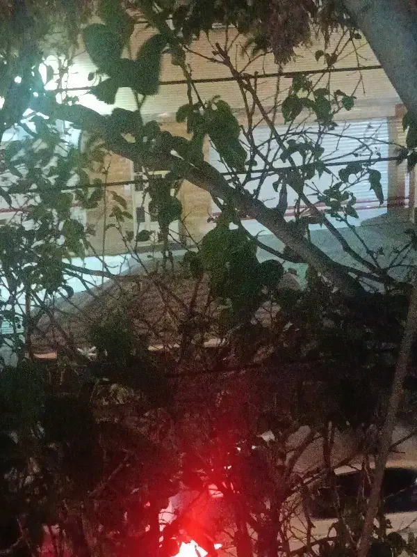 حیاط دربست در چوستدوزان