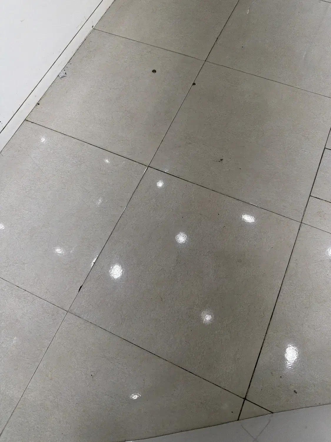رهن،اجاره خانه ویلایی