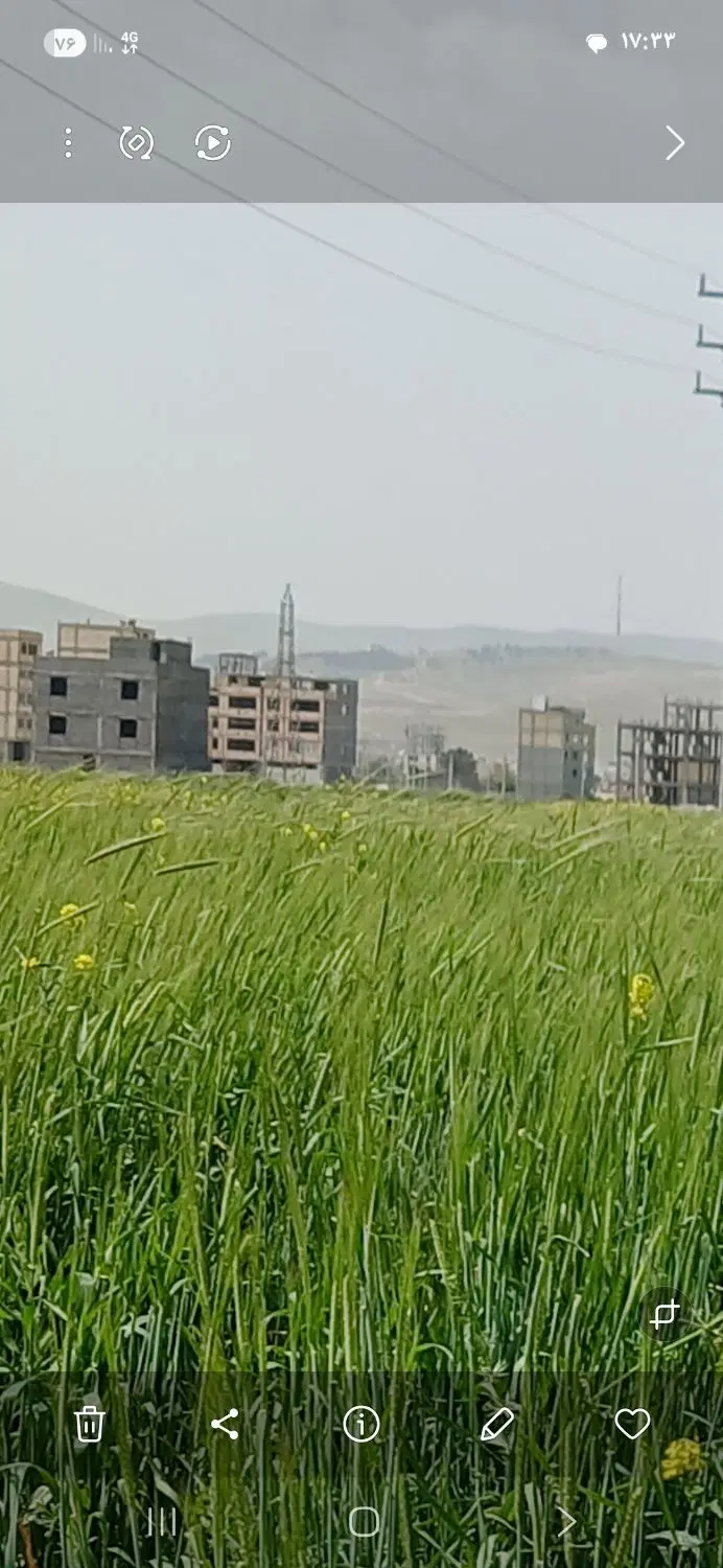 زمین دادگستری آموزش و پرورش سند تک برگ