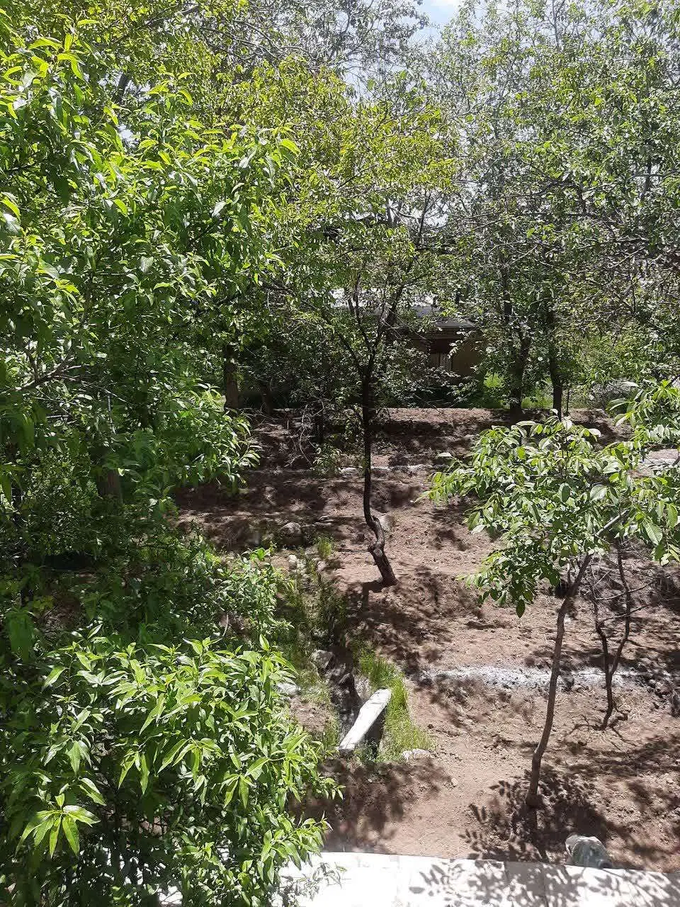 فروش زمین در سرکان