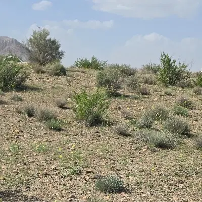 معاوضه زمین تجاری،با زمین خونه باغی