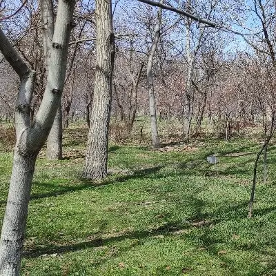 فروش زمین کشاورژی به وسعت ۴۷۰۰متر