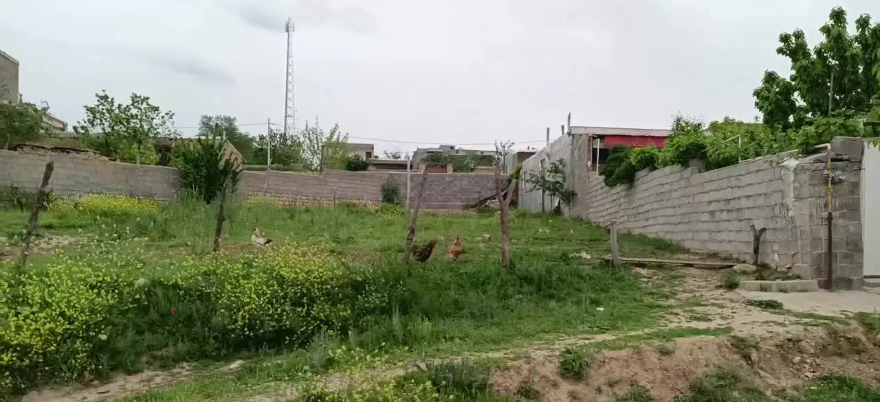 زمین ویلایی