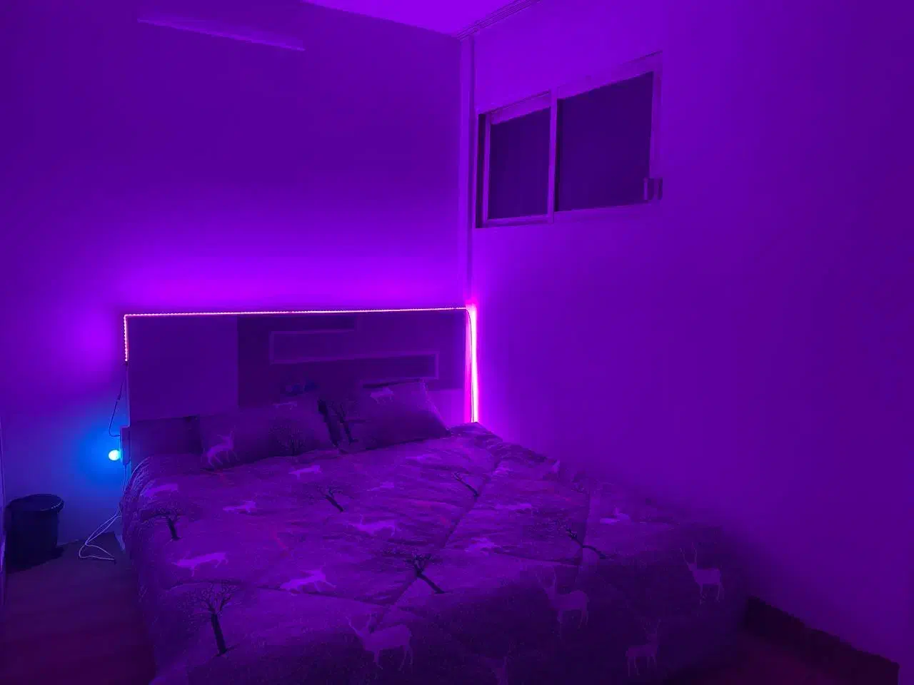 واحد۵۵متر+۳۰متر حیاط دبست سجادیه ویلایی