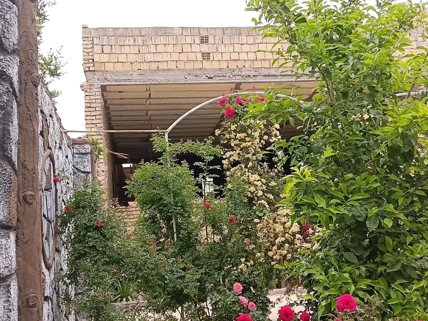 زیرزمین دربستی مهریز