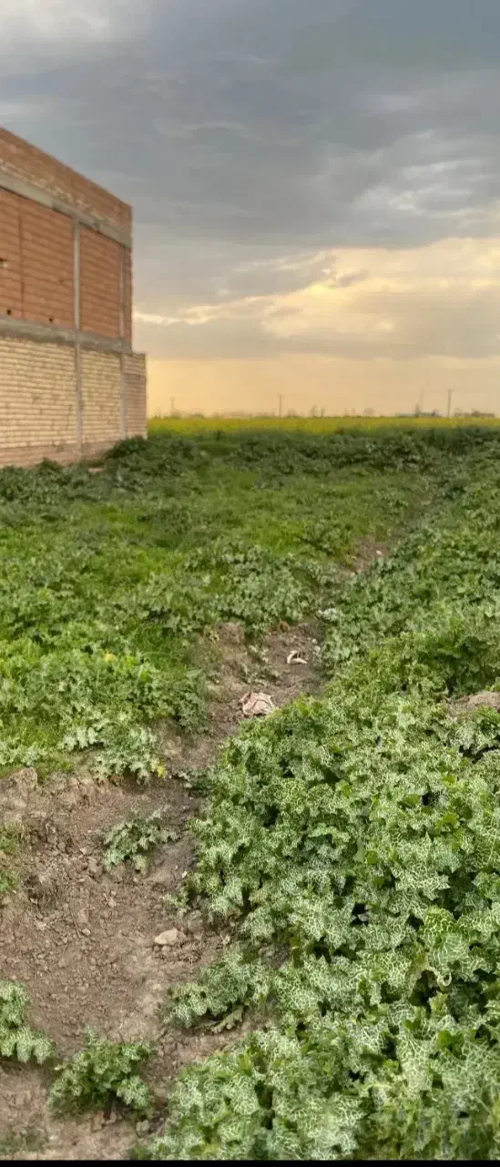 زمین مسکونی