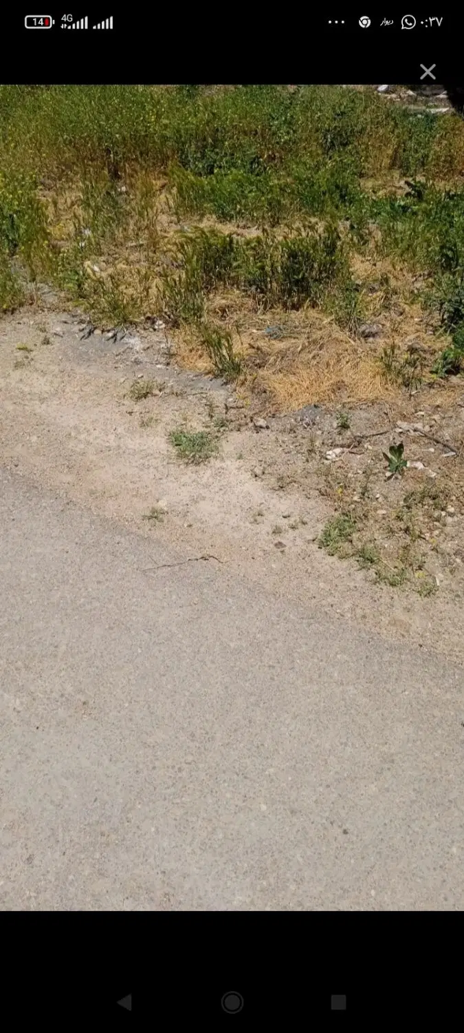 فروش زمین گچی