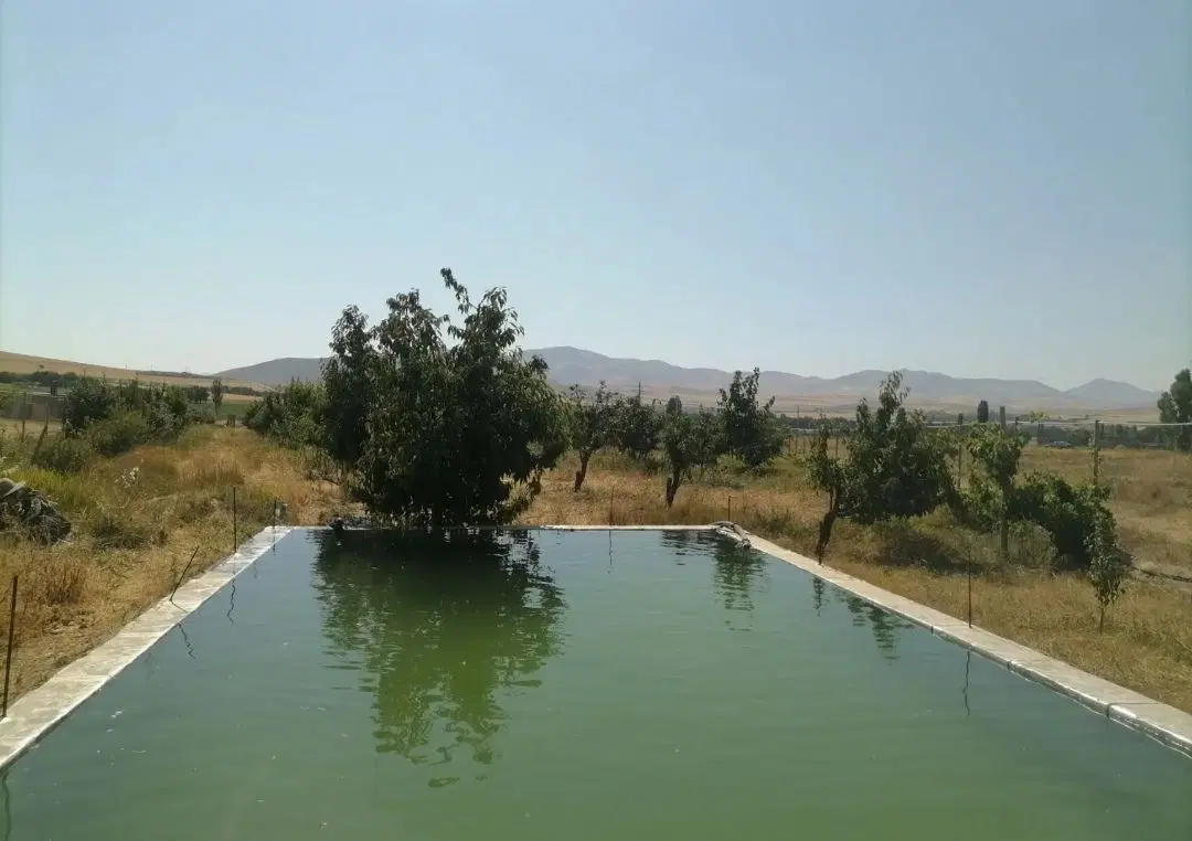 باغ