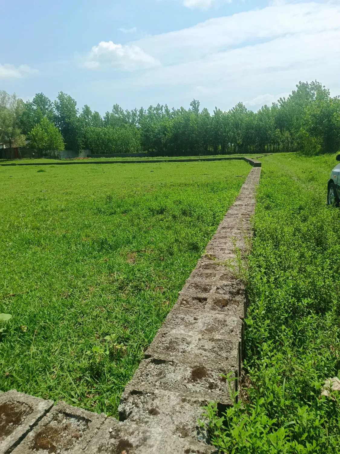 900متر زمین باغی داخل طرح انزلی_ خمام روستایی