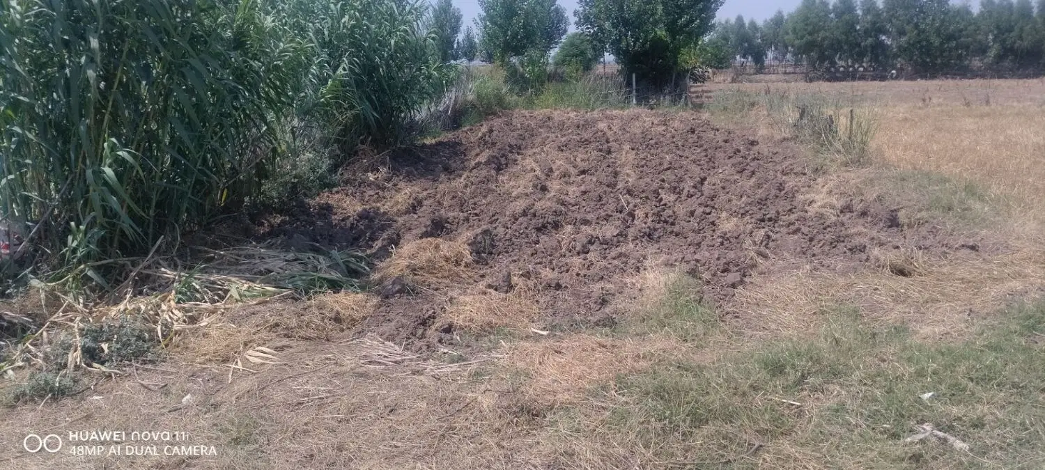 زمین فروشی باغی