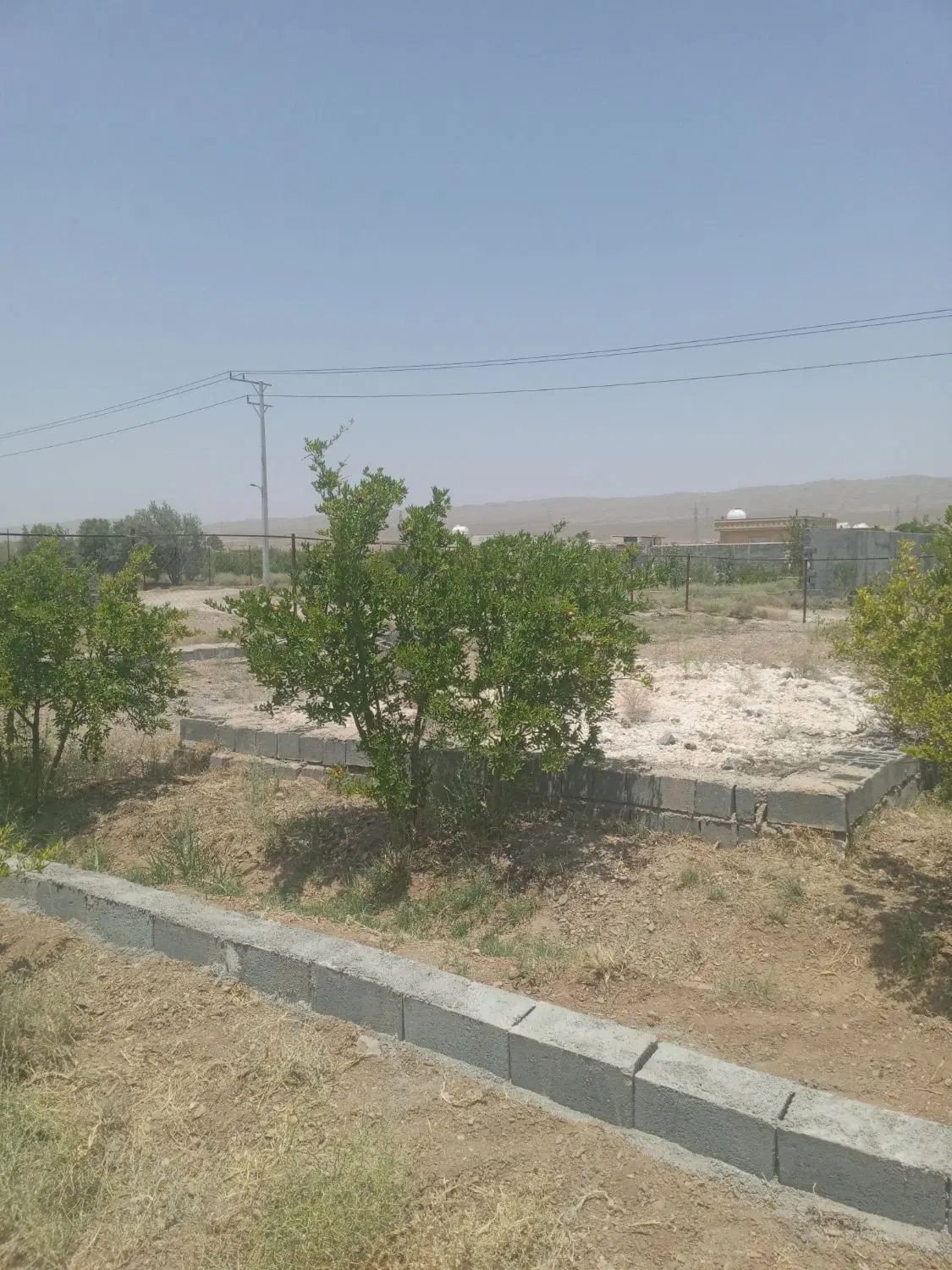 فروش قطعه‌ باغ در ابعاد ۵۰۰و ۱۰۰۰ متری