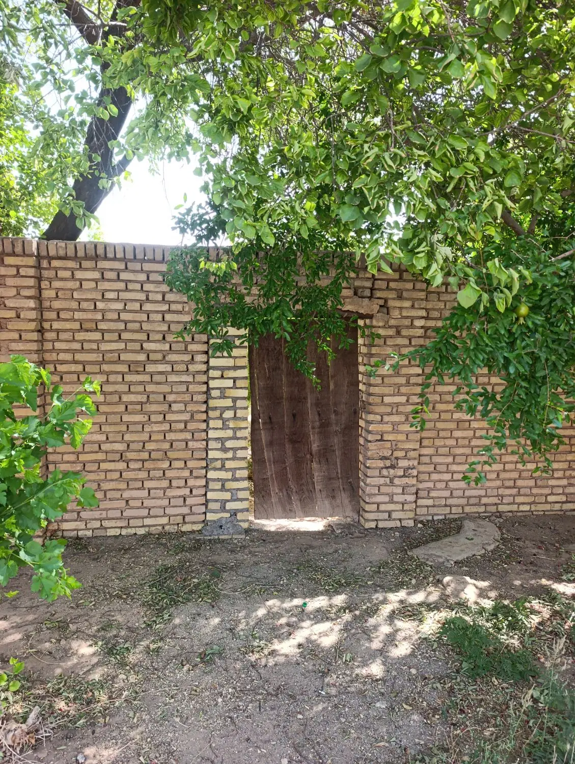 باغ