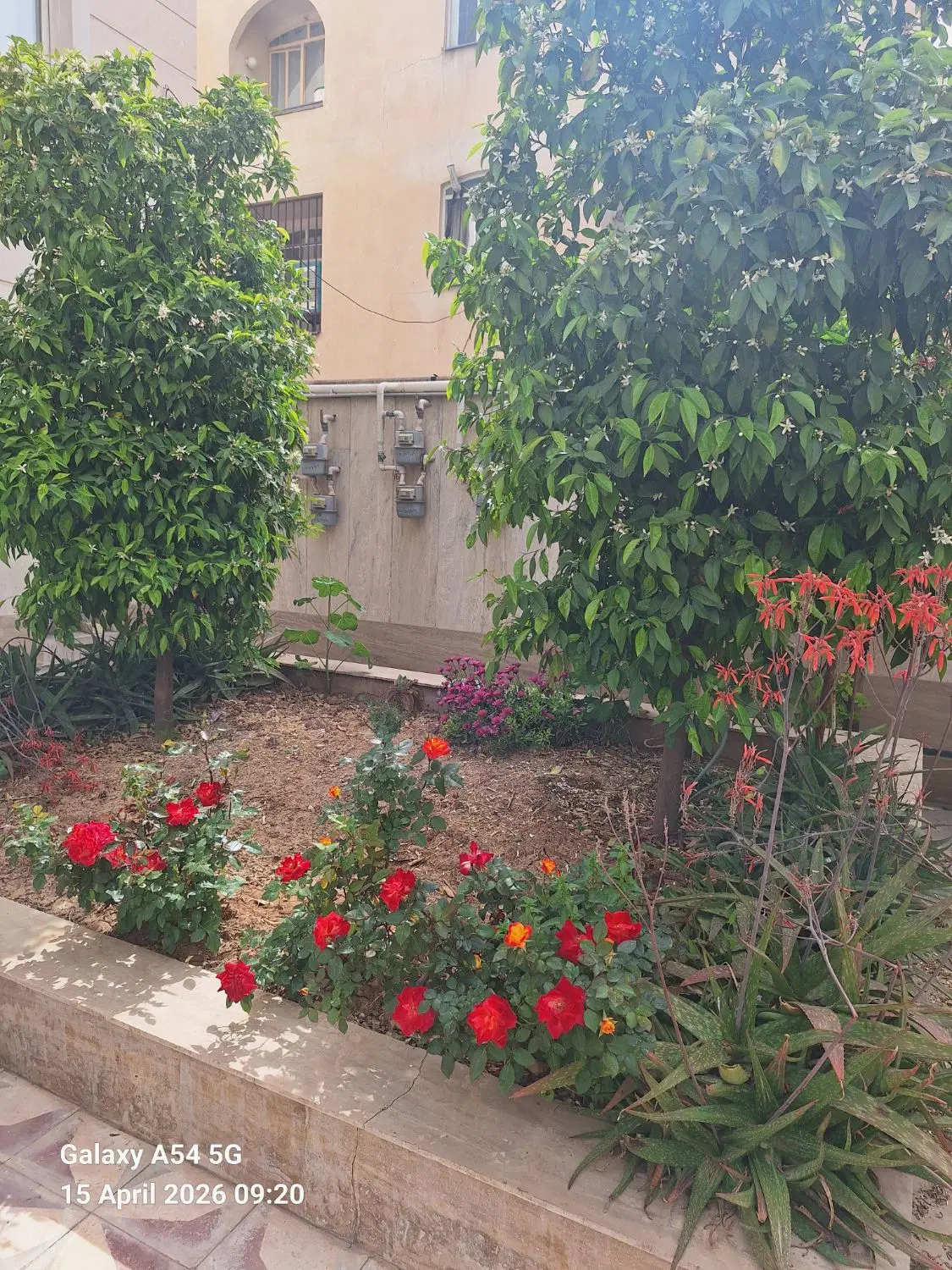 پاییز ۱۳۰ متری
