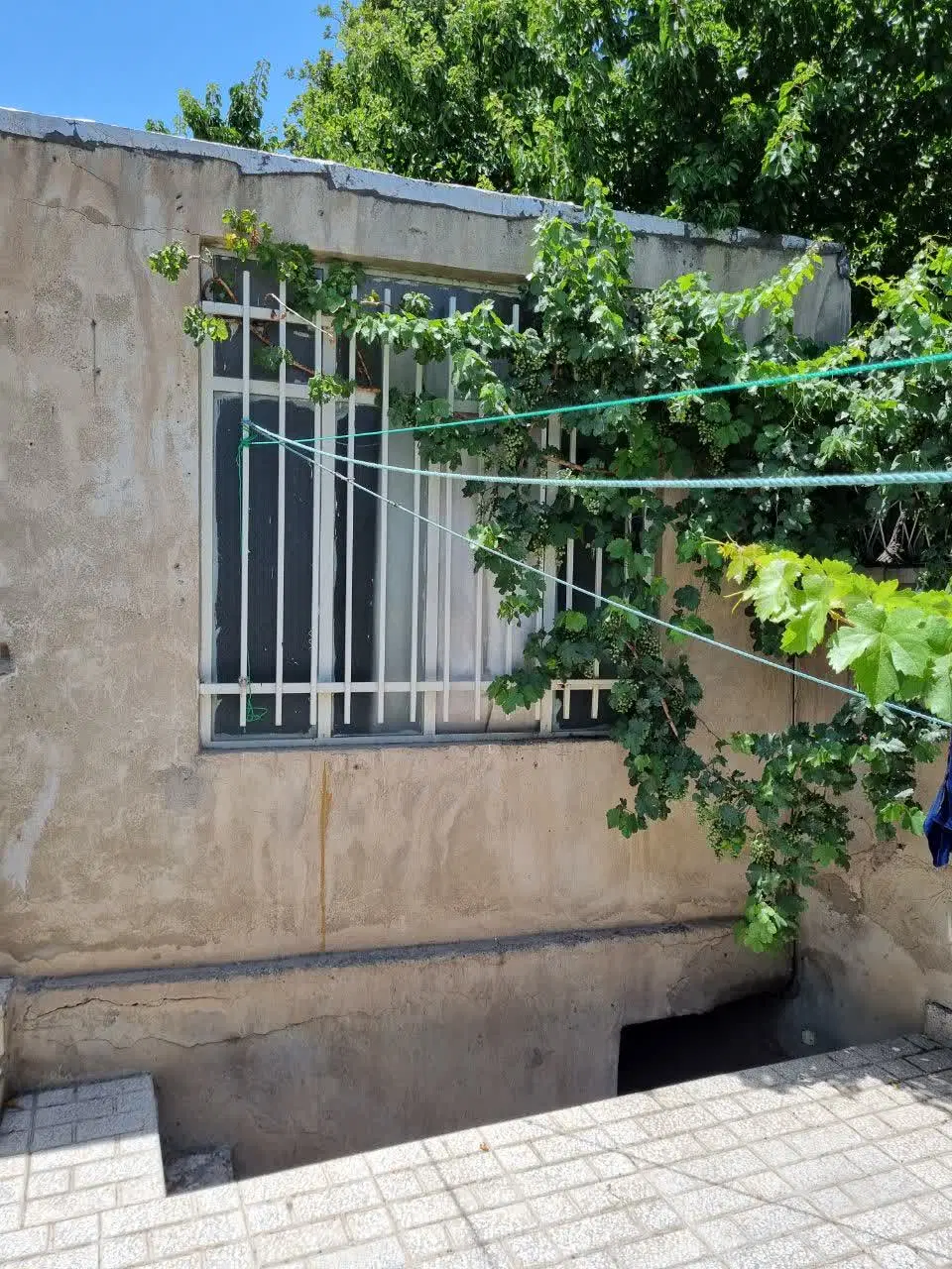یک واحد 50 متری ویلایی حیاط دار