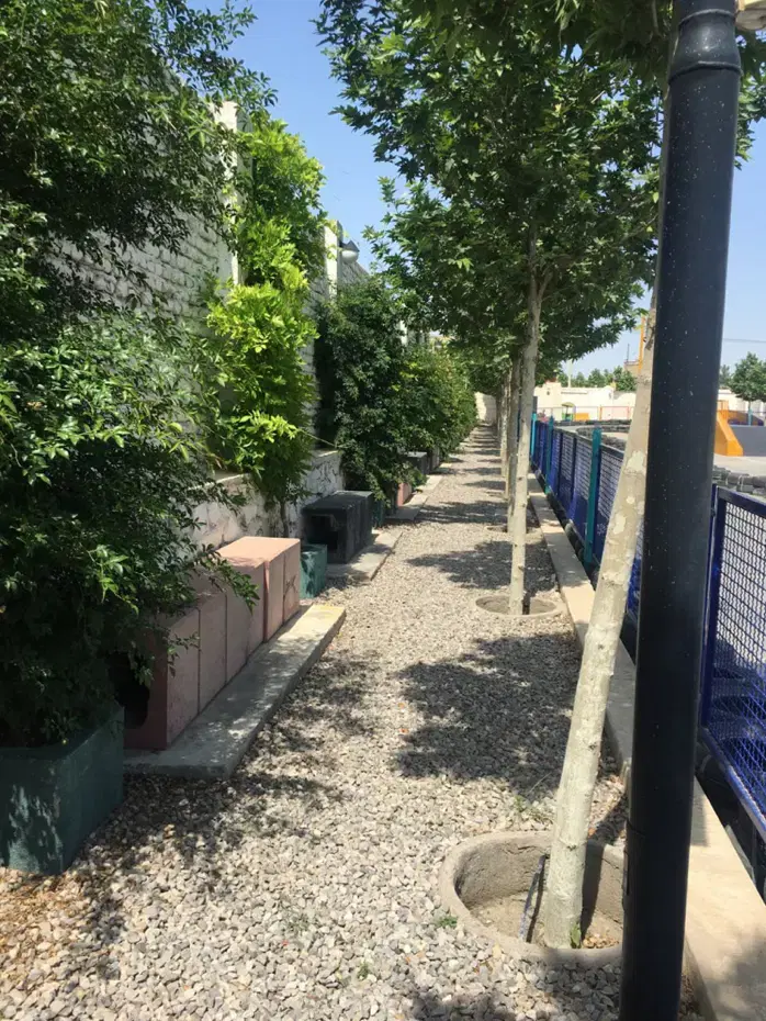 فروش،اجاره زمین ۵۰۰۰متر باهمه مشاعات.ویرانی شاندیز