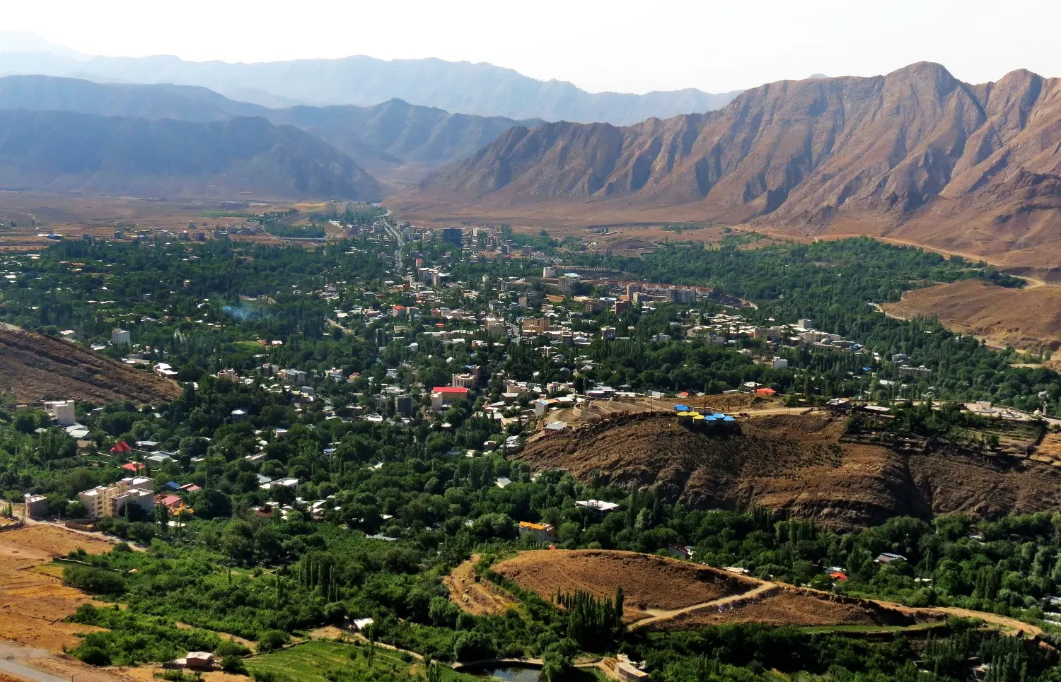 باغ (گل باغ)