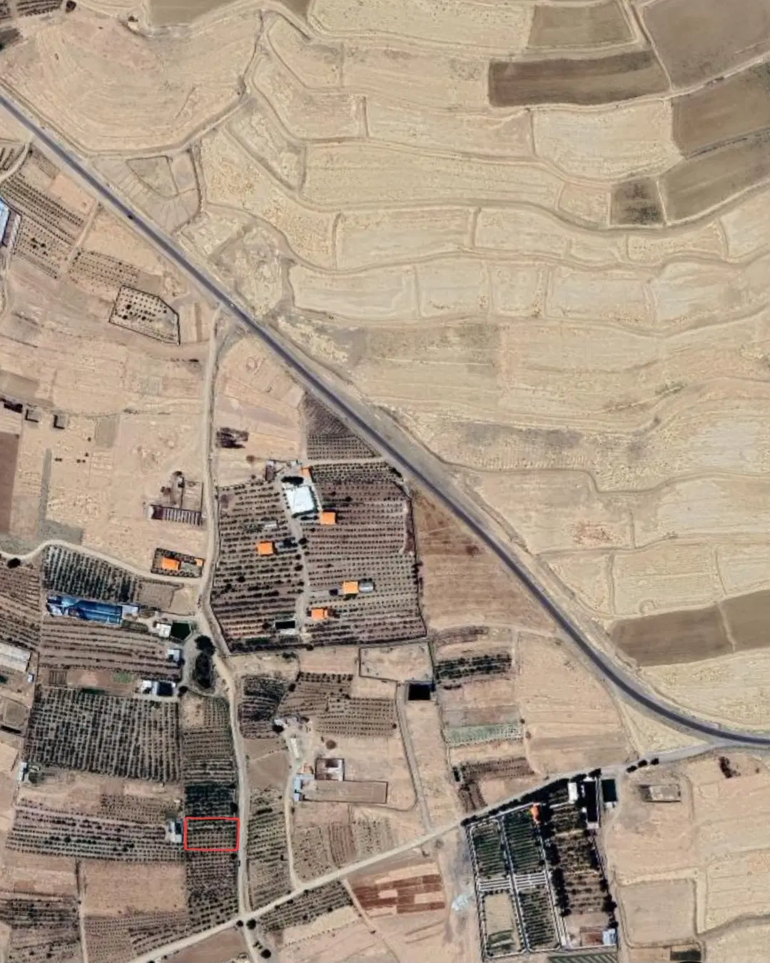 زمین کشاورزی