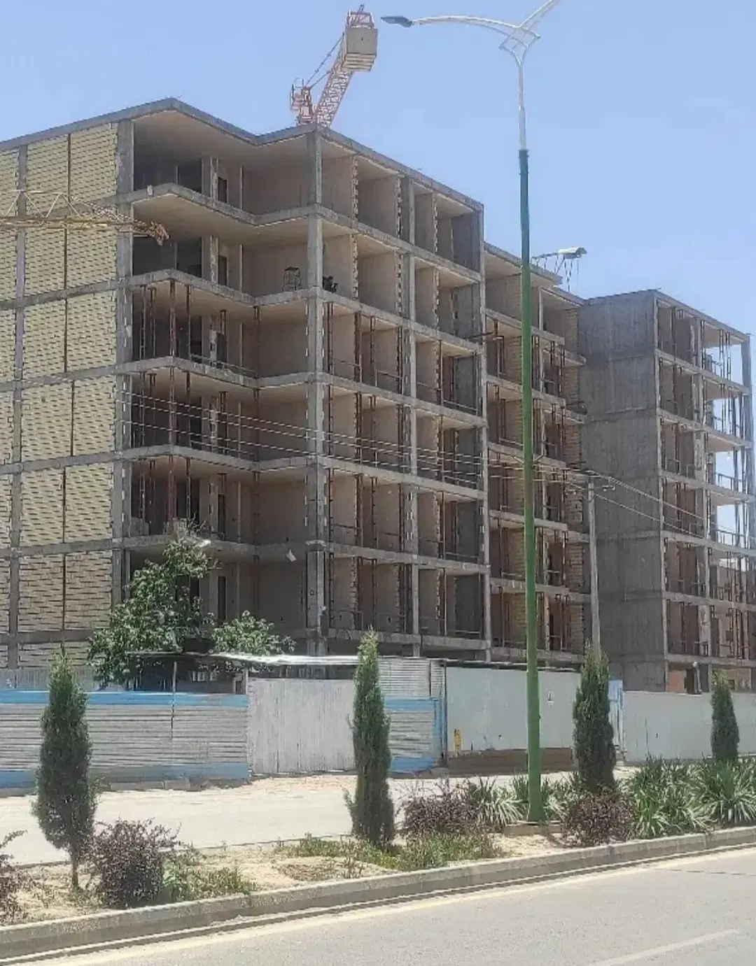 گل نرگس حکیم نظامی