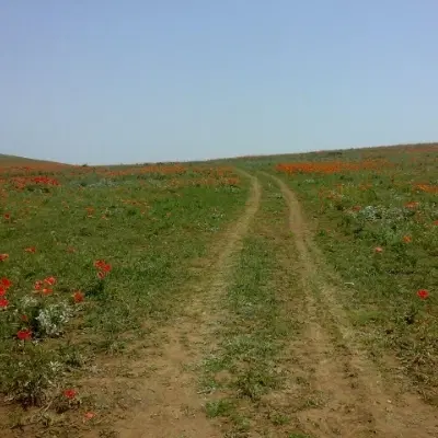 زمین